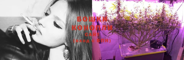 мдпв Киреевск