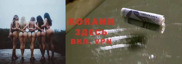 мдпв Киреевск