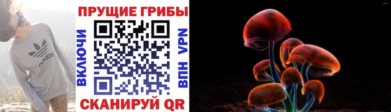Галлюциногенные грибы MAGIC MUSHROOMS  как найти закладки  Бердск 
